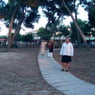 op1975