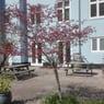 eberlin