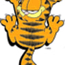 GARFIELDzx