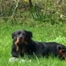 morfarcarsten