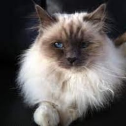 image of Marie1