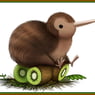 kiwi84