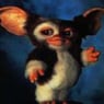 Gizmo339