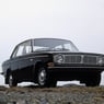 stener88