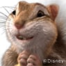 chipmunk