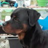 frank0405