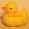 gulbadeand