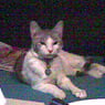 millie84