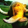firecow