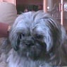 oliver04