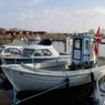 xlillemyx