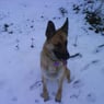anja2006