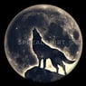 luna75