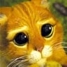 Kajcat