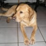 ememeb