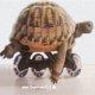 Spiddie1