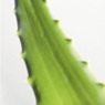 malenek23