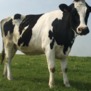 Stina0206