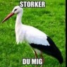 thor7070
