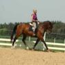 musse38