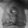 Gsus