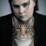 Kitty203
