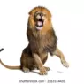 Lionking62