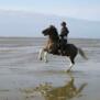 mls2