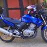 beba14