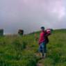 drusse