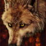 ShadowJackal666