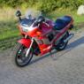 suzukiwoman