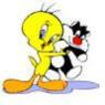 chilli82