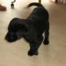 minhund92
