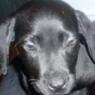 kitte2