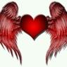 LOVEWINGS