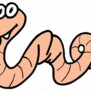 osteorm