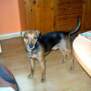 gitte1308