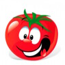 Tomaten2