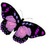 SabrinaM