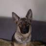 bente111150