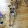 fnug50