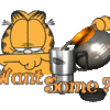 Garfield444