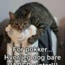 Jokeren2009