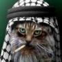 Sheiken95