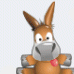 zast