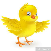image of BBirgit