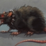 SuperRot