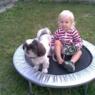 liper2010