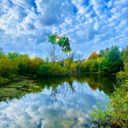 image of Kerteminde74